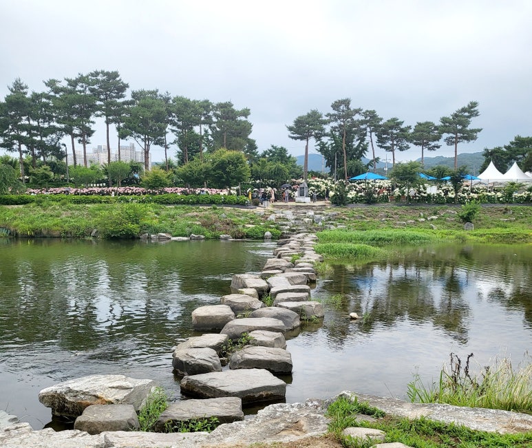 유구농업협동조합하나로마트 이미지