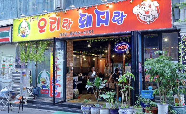 오리랑돼지랑 이미지