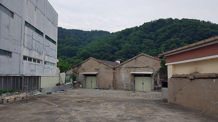용가리반점 이미지
