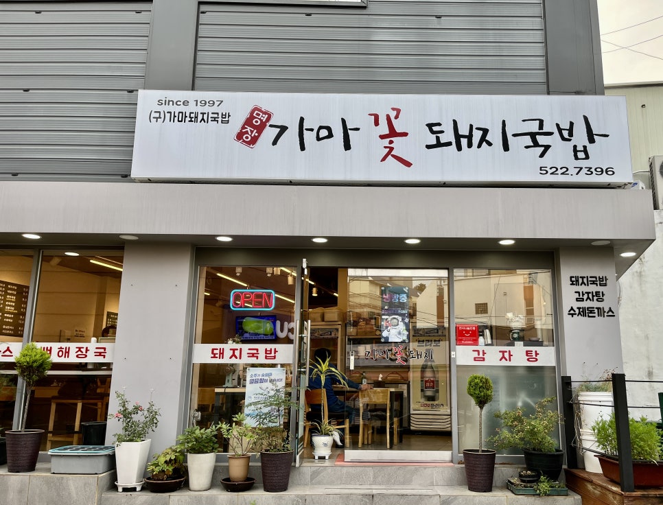 가마꽃돼지 이미지