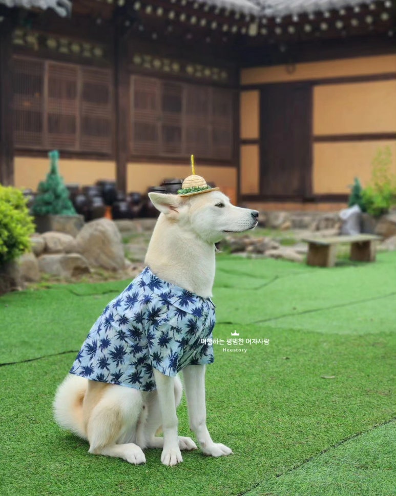 포천포레스트벨리 이미지