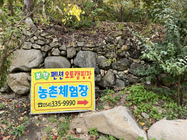 보현민박오토캠핑장 이미지