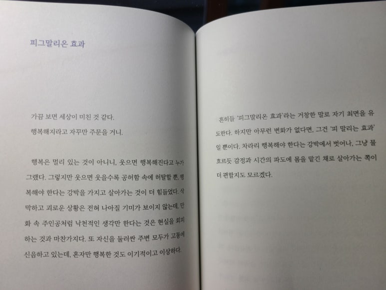 선민상사 이미지