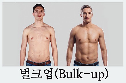 벌크짐 이미지