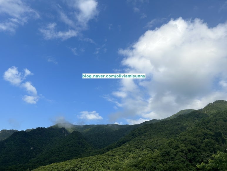 오대산 산채나라식당 이미지