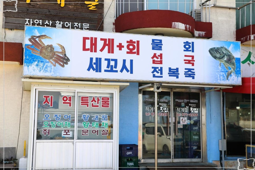 사계절물회 이미지