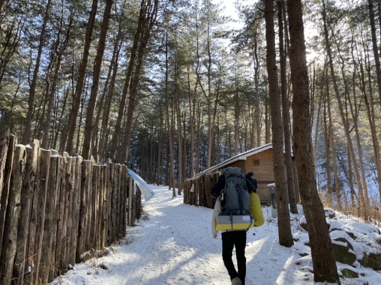 호명산잣나무숲속캠핑장 이미지