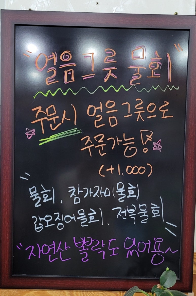 도시어부&미쓰물회 이미지