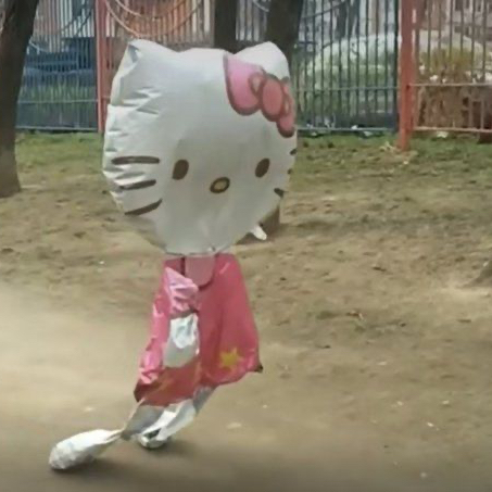 준푸드 이미지