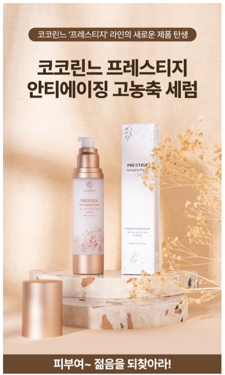 코코린느 이미지
