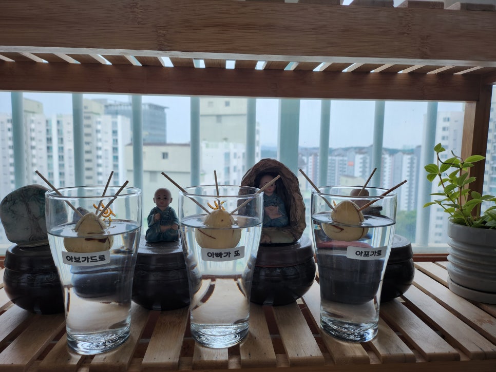 삼둥이반찬 이미지