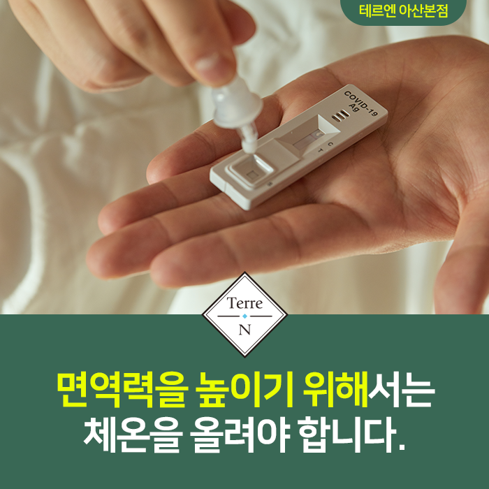 테르엔 이미지