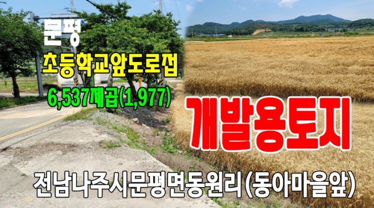 문평초등학교 이미지