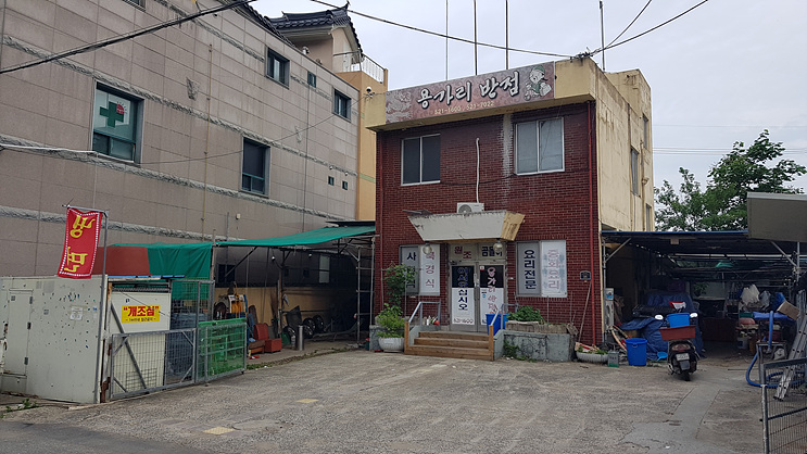 용가리반점 이미지