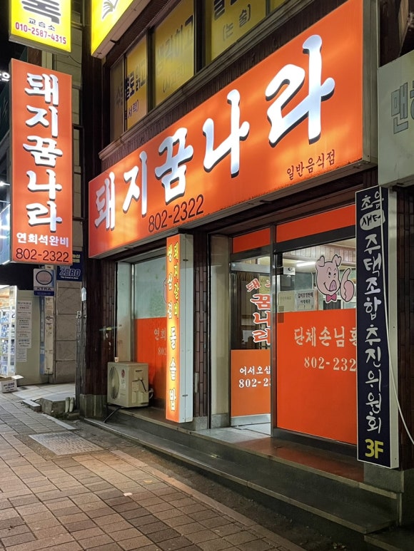 돼지꿈나라 이미지