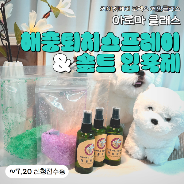 케이아로마 이미지