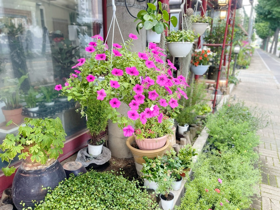 수정꽃집 이미지