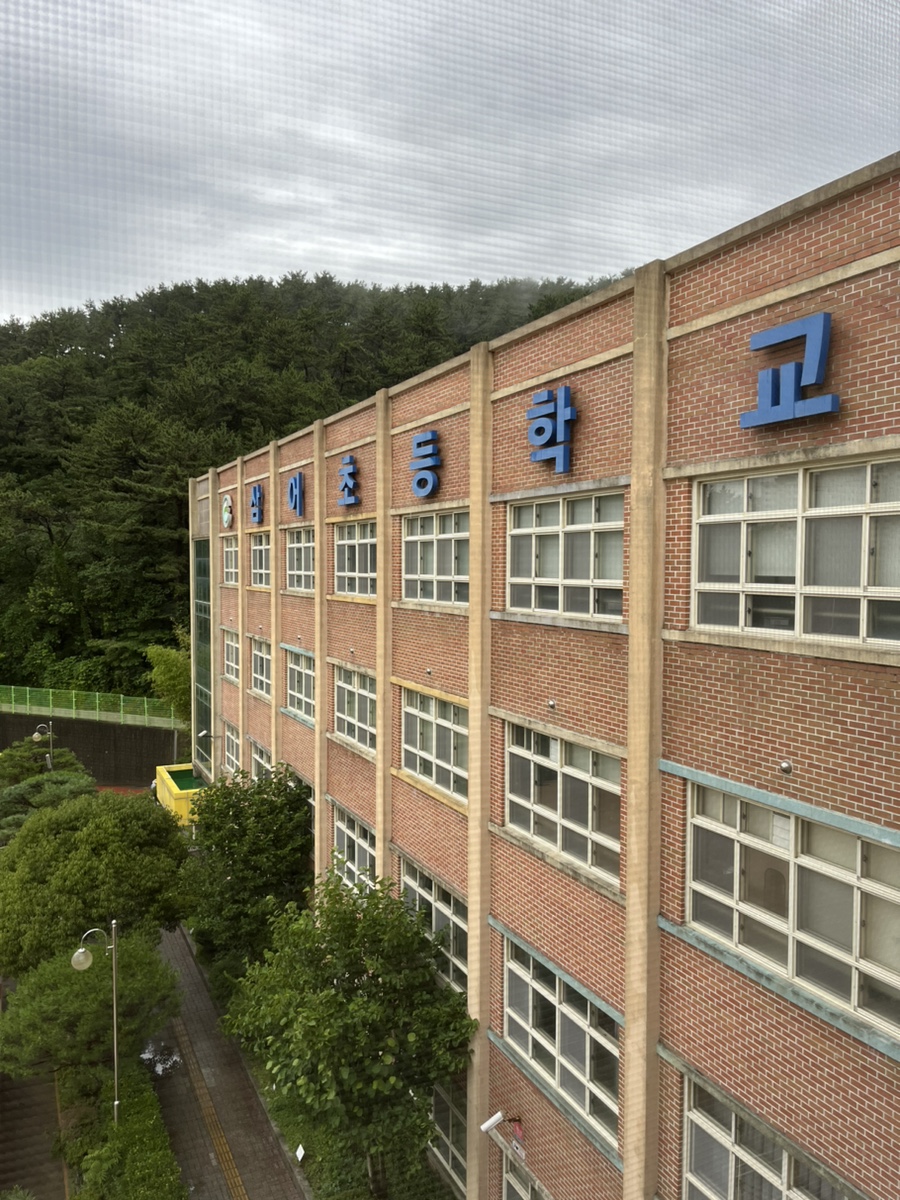 삼어초등학교 이미지