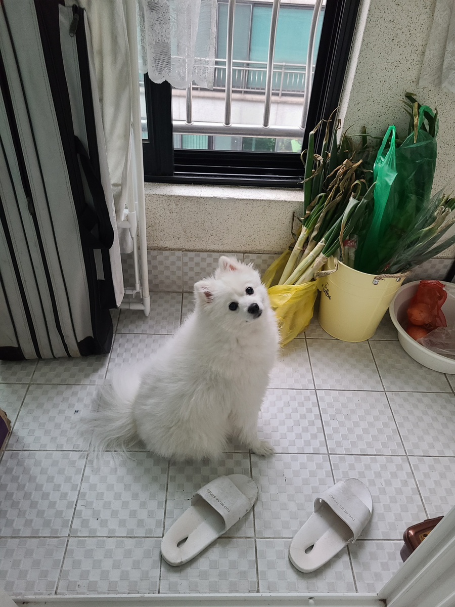 오장노래방 이미지