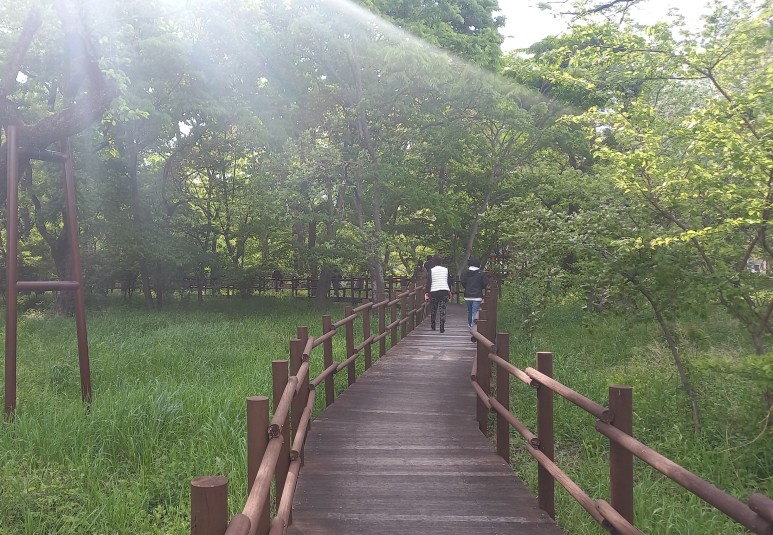 (주)투웰브마운틴즈 이미지