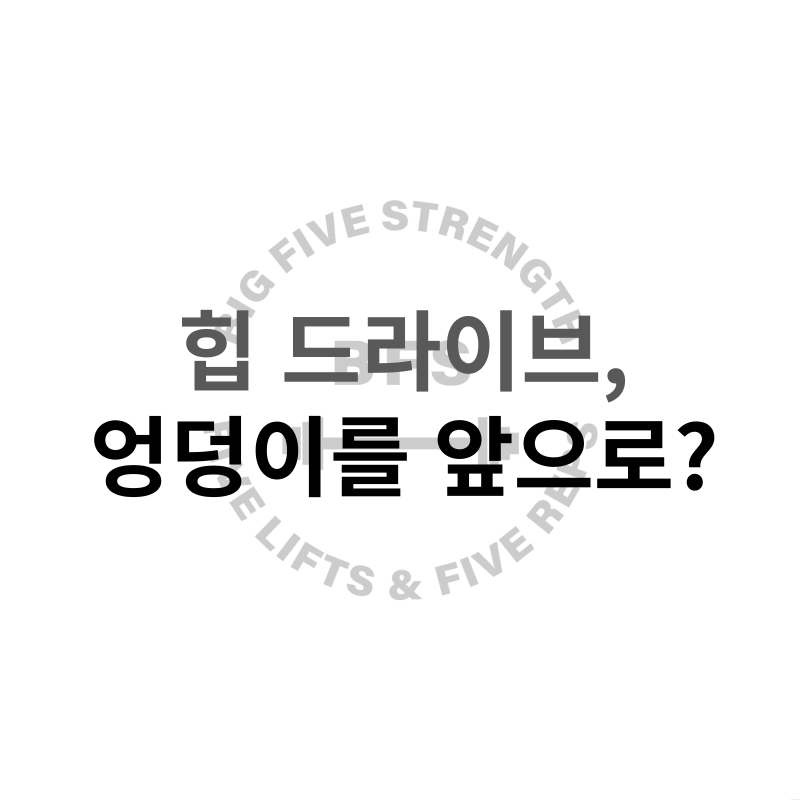 빅파이브스트렝스 이미지