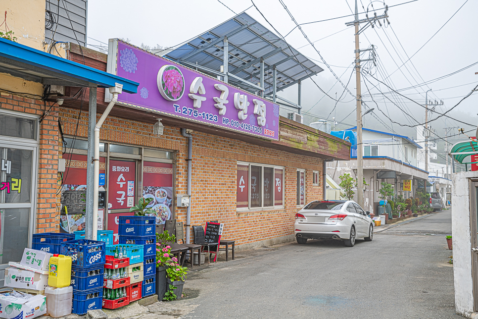 수국반점 이미지