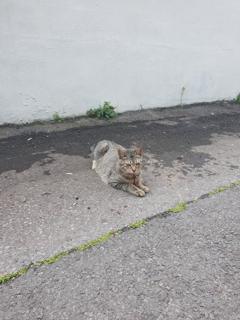 유메이비 이미지