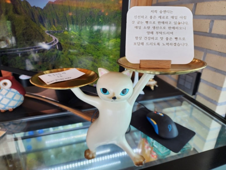 숨앤티 이미지