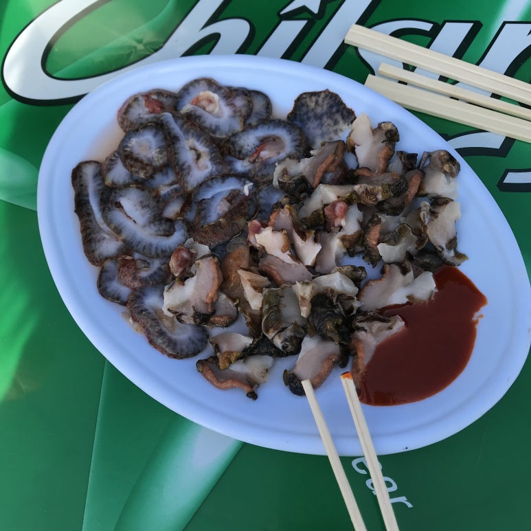 솔트리수목원 이미지