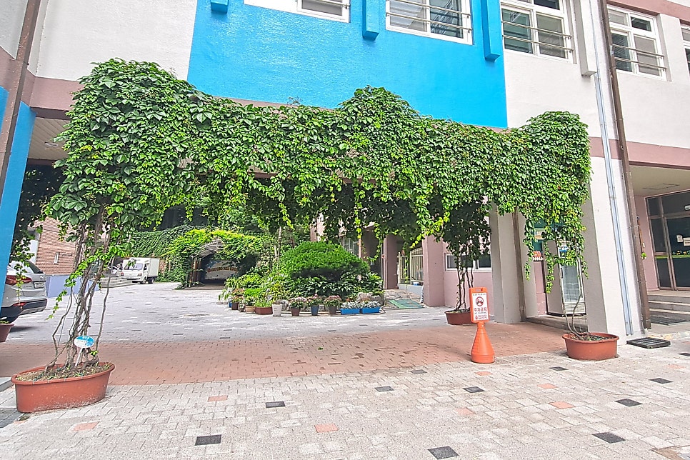 대구논공초등학교 이미지