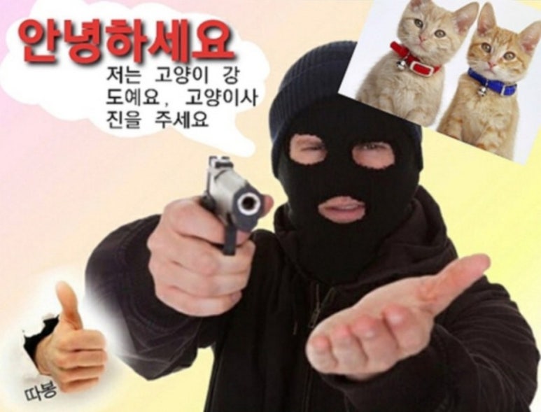 더메이헴 이미지