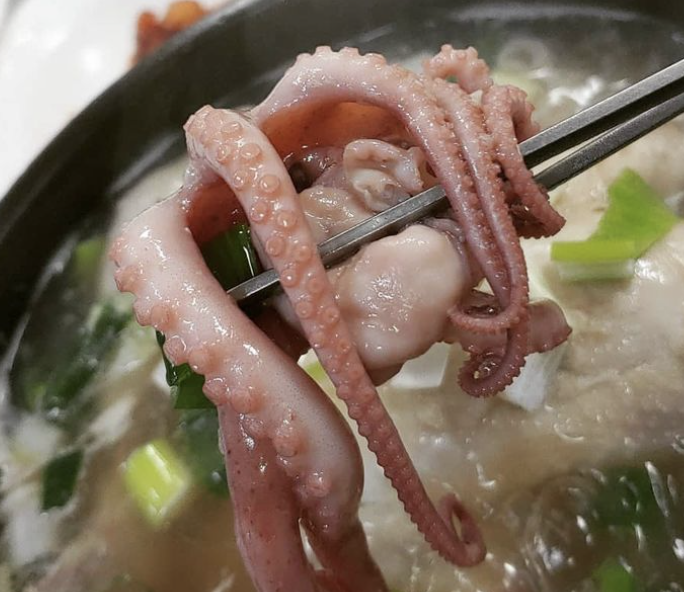 원닭한마리 이미지