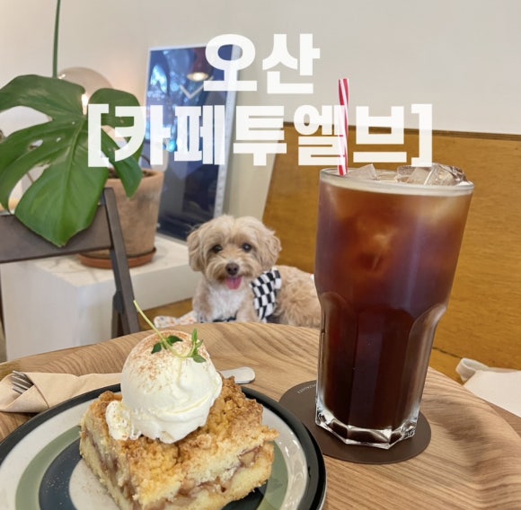 인생네컷오산 이미지
