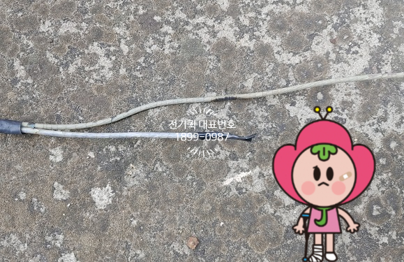 신흥전파사 이미지