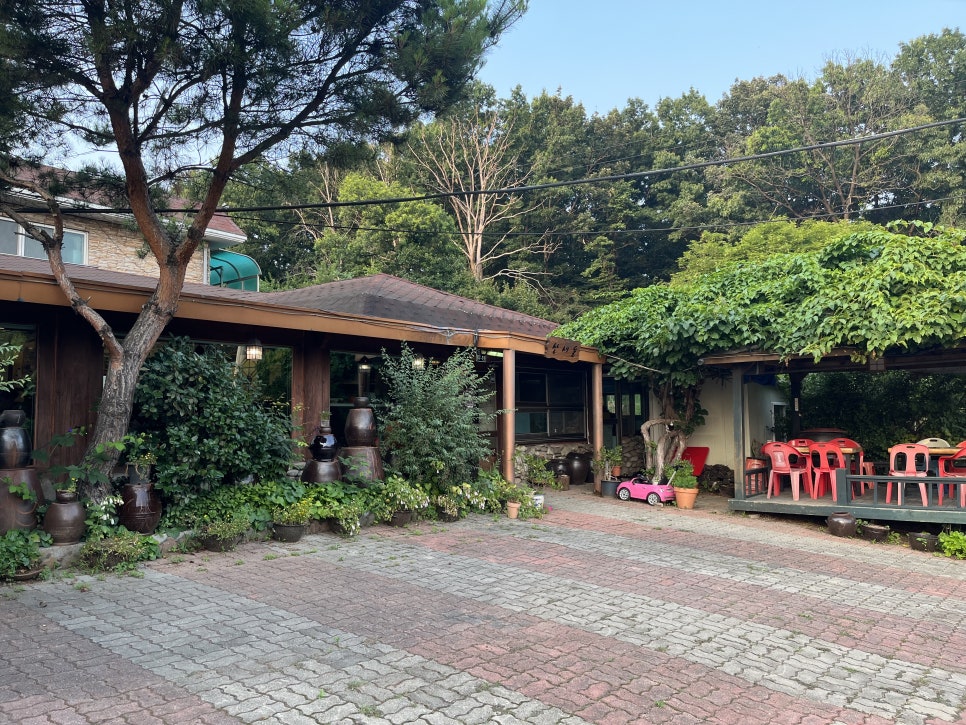 불로오리 이미지