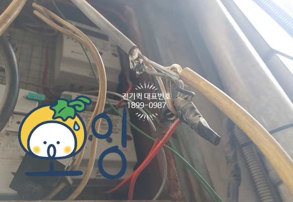 신흥전파사 이미지