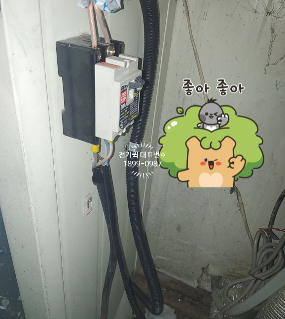신흥전파사 이미지