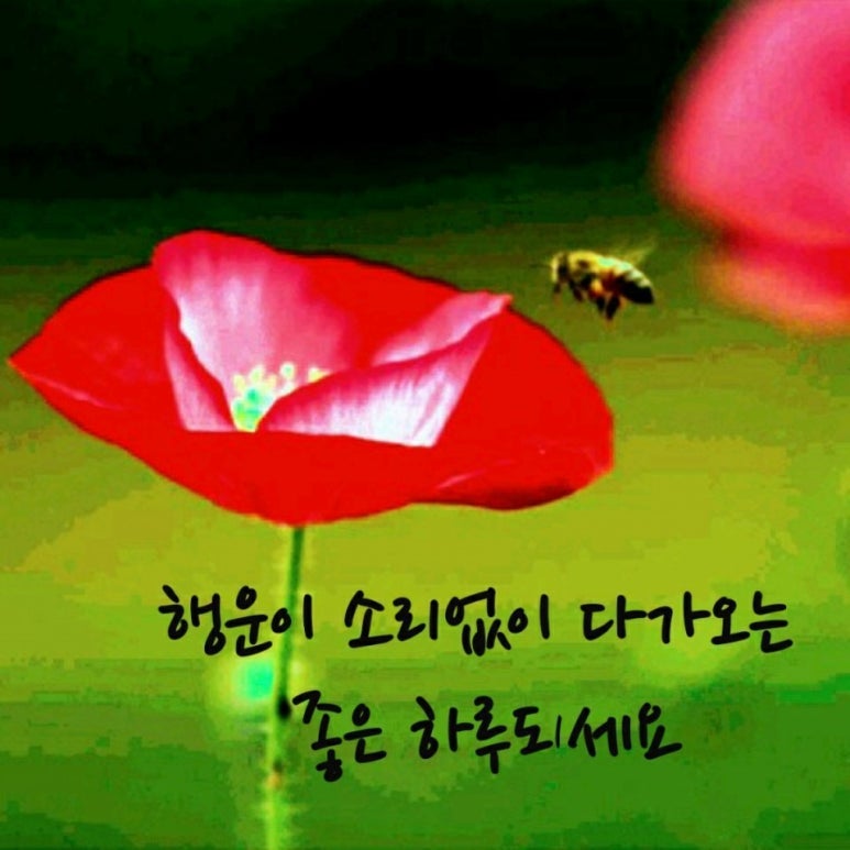 늘봄레스토랑 이미지