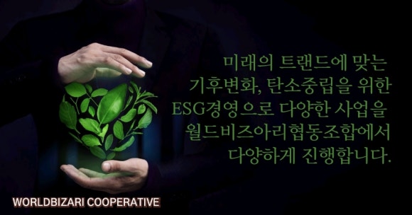 아리몰 이미지