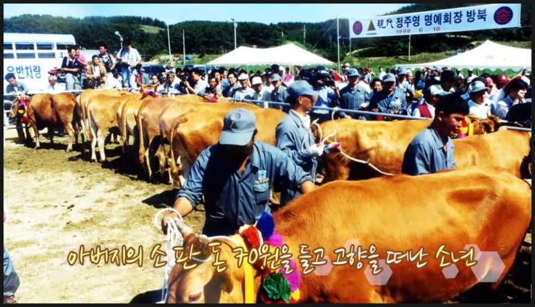 현대관광 이미지