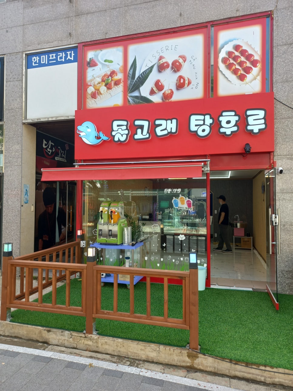 돌고래 탕후루 이미지