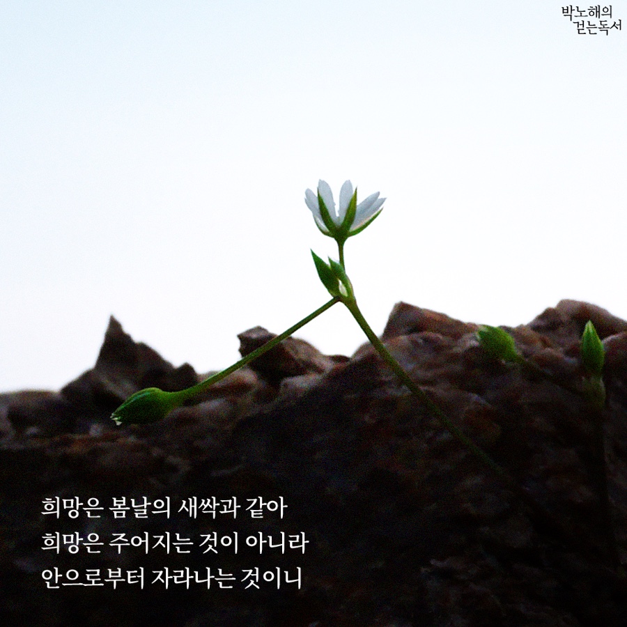 나의봄날 이미지