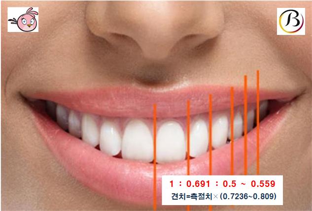 비나브이 이미지