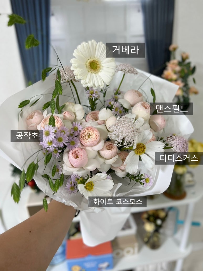 이일정보 이미지