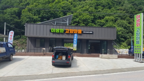 600마지기가는길야영장 이미지