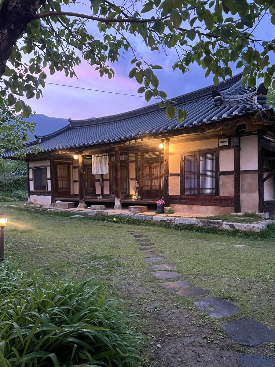 차꽃오미 이미지