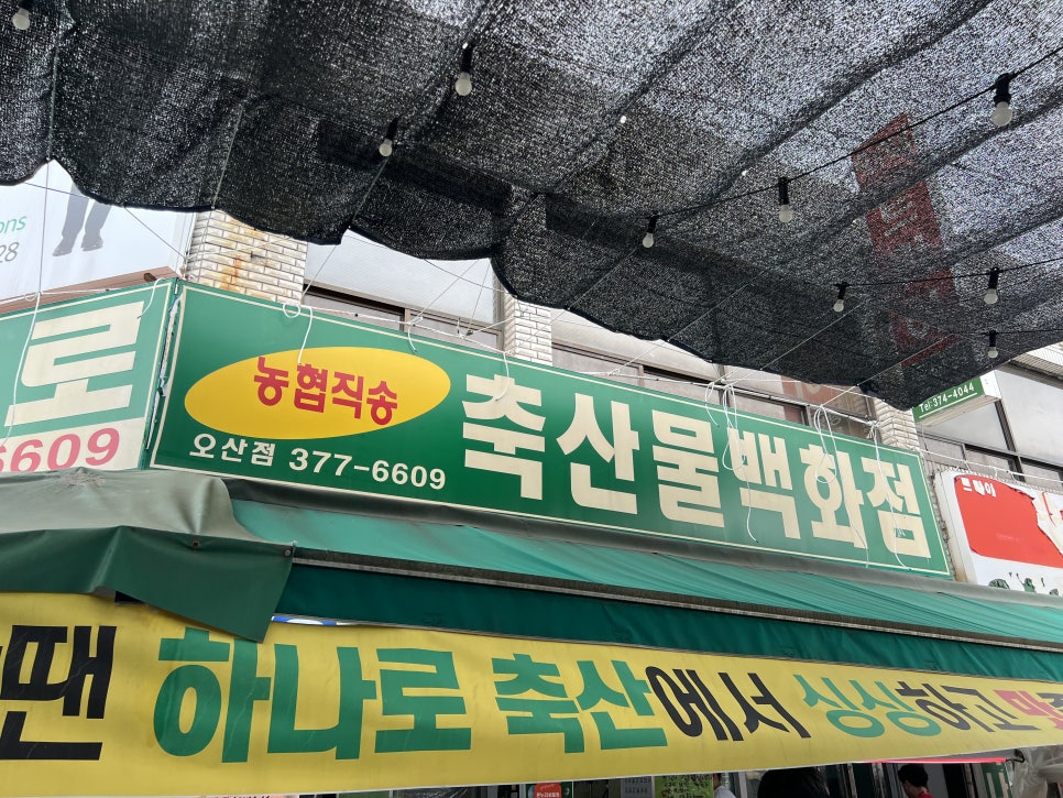 돈까스회관오색 이미지