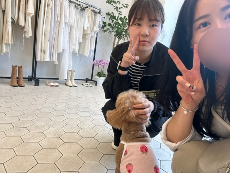 리헤브 이미지