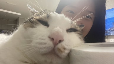 정가네춘천닭갈비막국수 이미지
