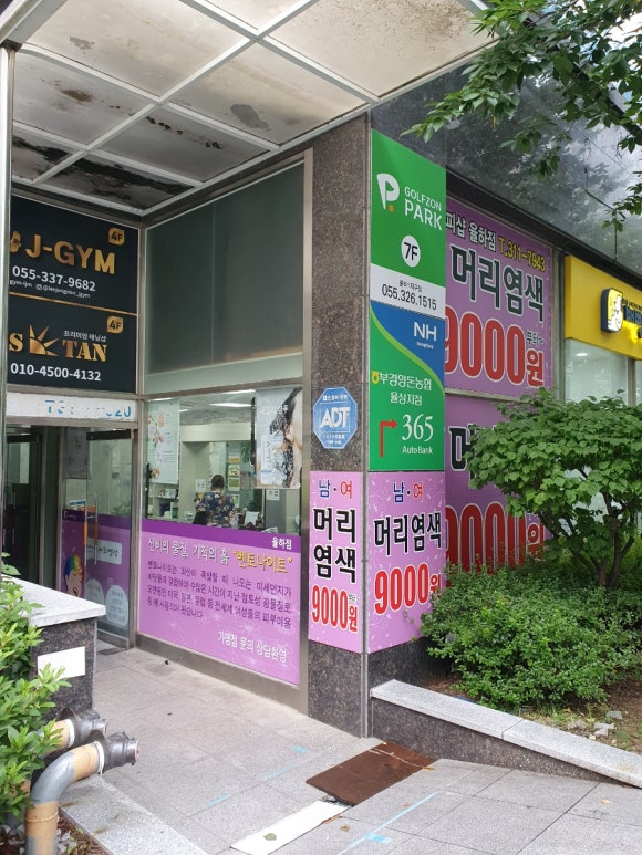 구피염색방 이미지
